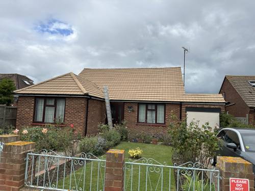 Roof Cleaning